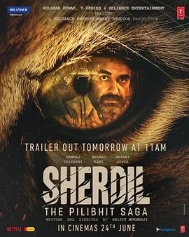 黑豹2国语 封面图